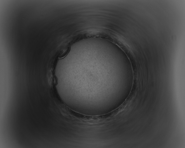 X0000100390868200806061252