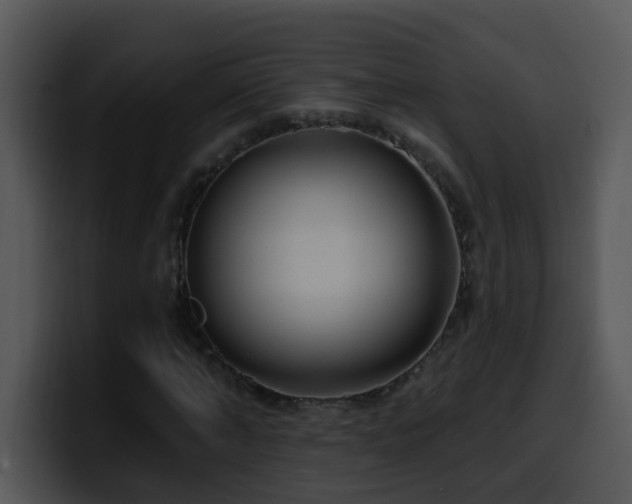 X0000100390870200806061252