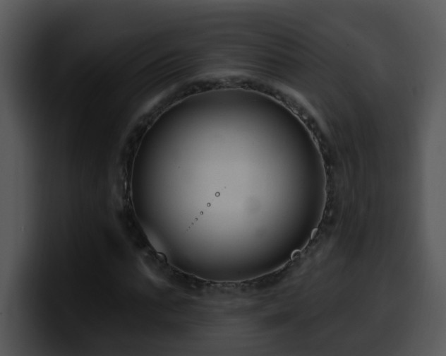 X0000100390871200806061252