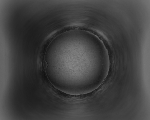 X0000100390872200806061252