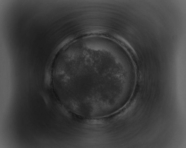 X0000100390874200806061252