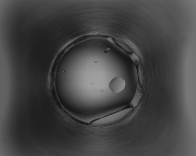 X0000100390876200806061252