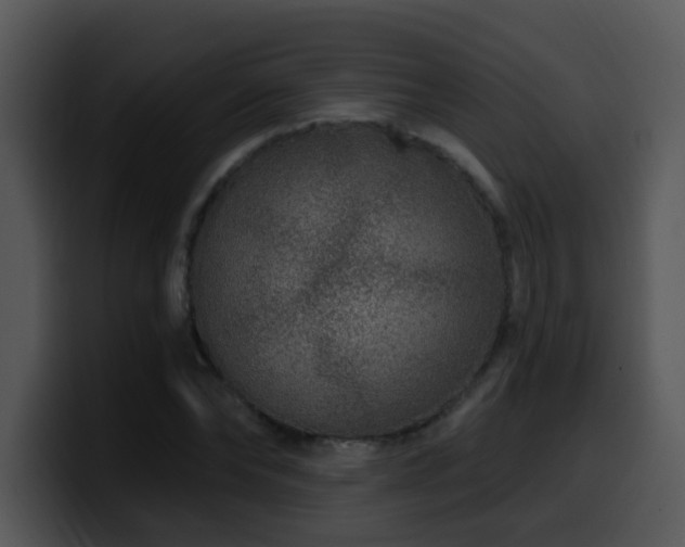 X0000100390878200806061252