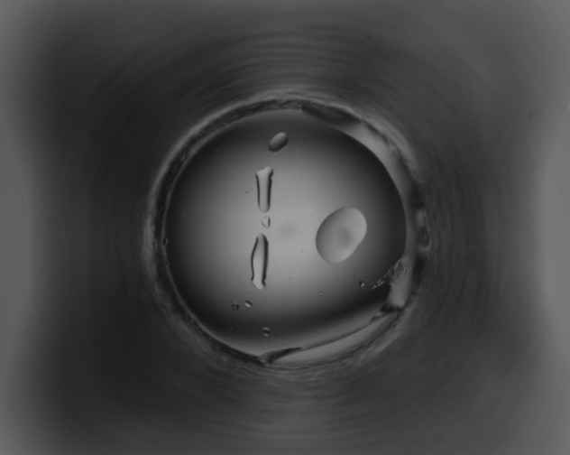 X0000100390880200806061252