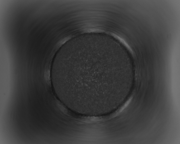X0000100390881200806061252