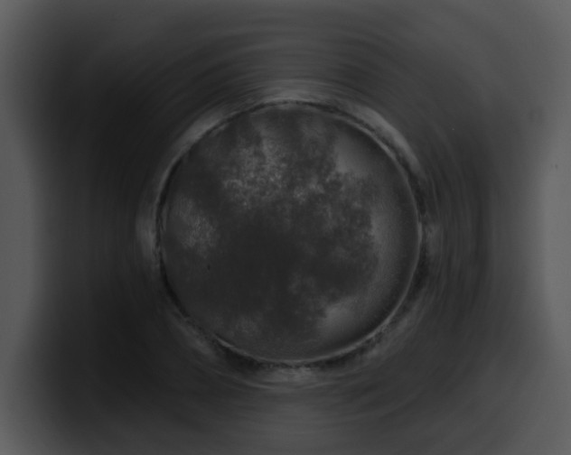 X0000100390882200806061252