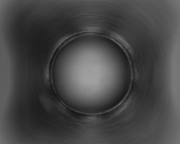 X0000100390883200806061252