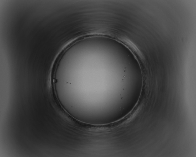 X0000100390884200806061252