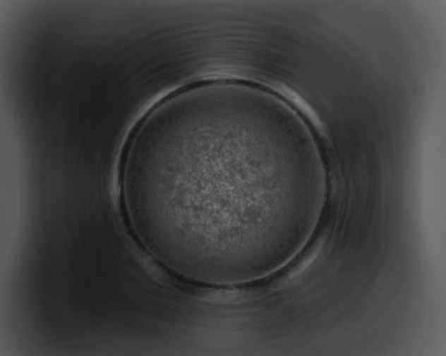 X0000100390885200806061252