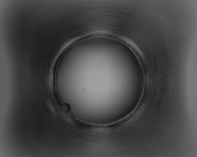 X0000100390886200806061252
