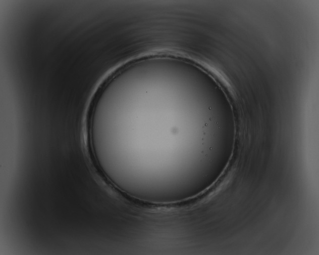X0000100390888200806061252