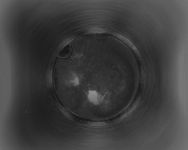 X0000100390889200806061252