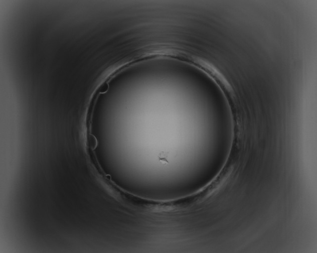 X0000100390890200806061252