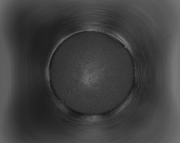 X0000100390891200806061252
