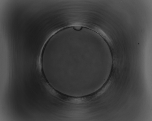 X0000100390892200806061252