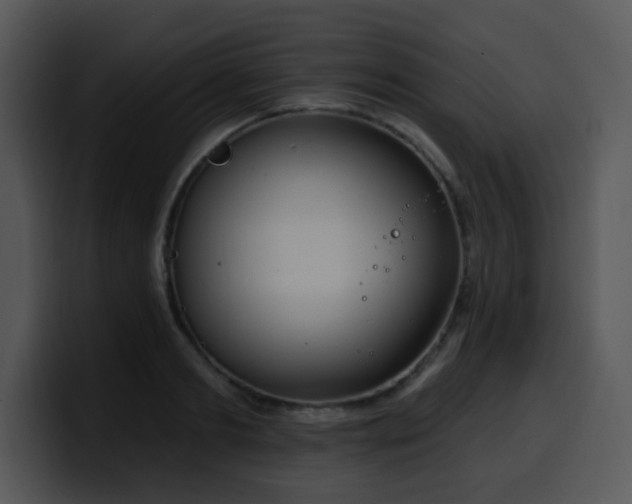 X0000100390893200806061252