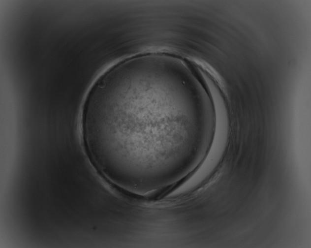 X0000100390894200806061252