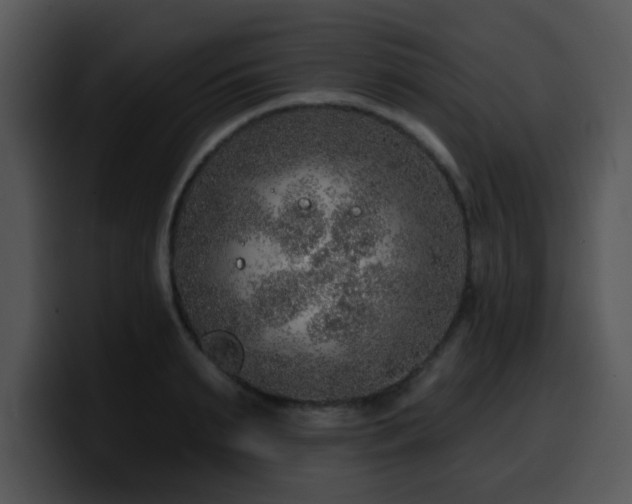 X0000100390895200806061252