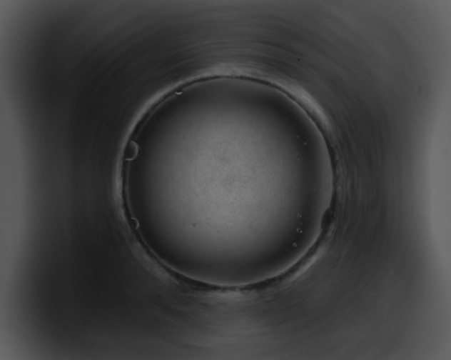 X0000100390896200806061251