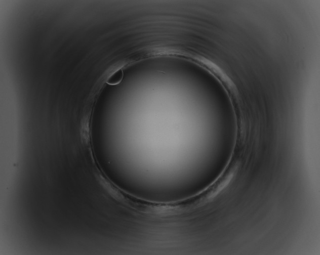 X0000100390897200806061251