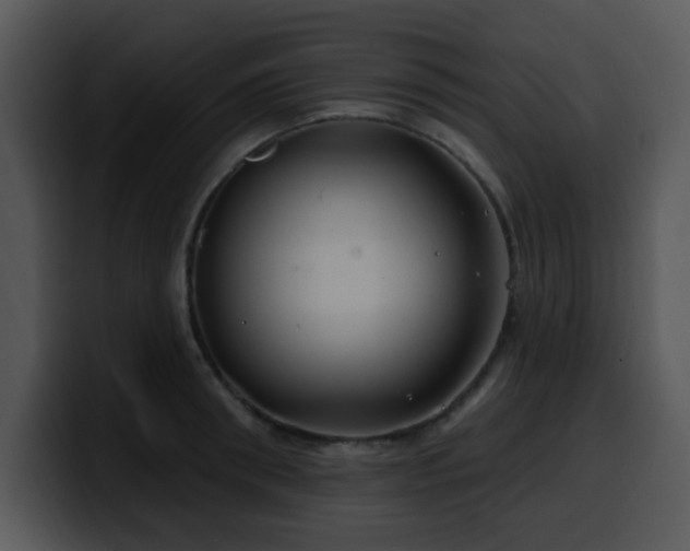 X0000100390898200806061251
