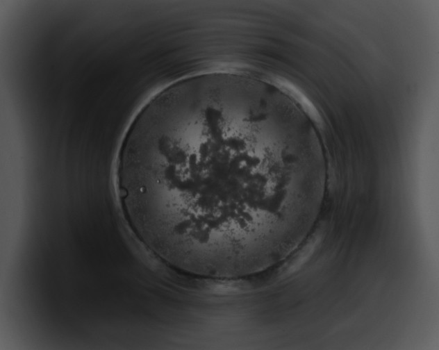 X0000100390899200806061251