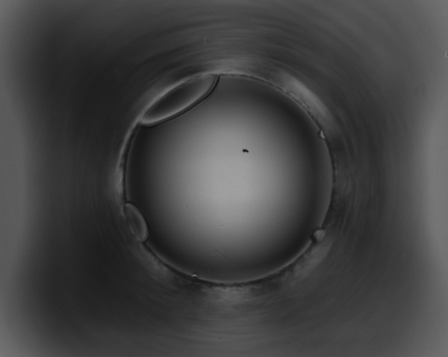 X0000100390900200806061251