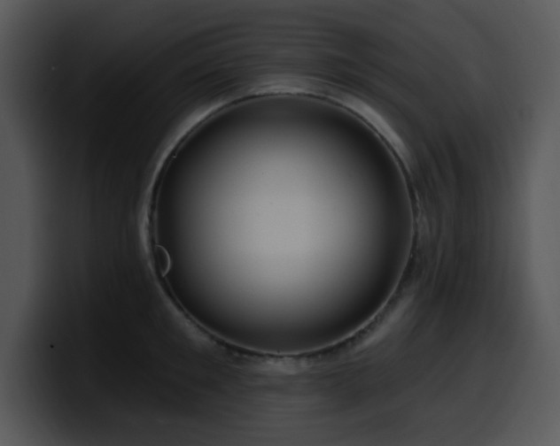 X0000100390901200806061251