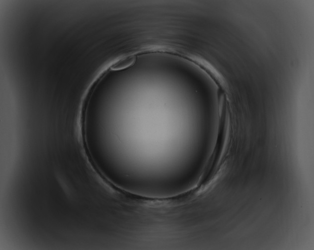 X0000100390902200806061251