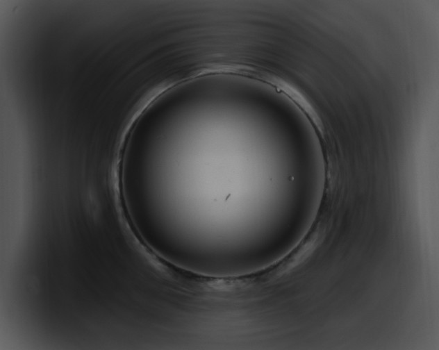 X0000100390906200806061251