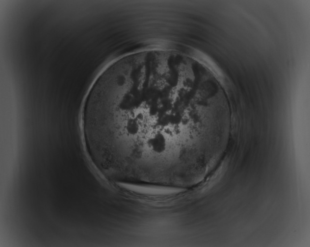 X0000100390907200806061251