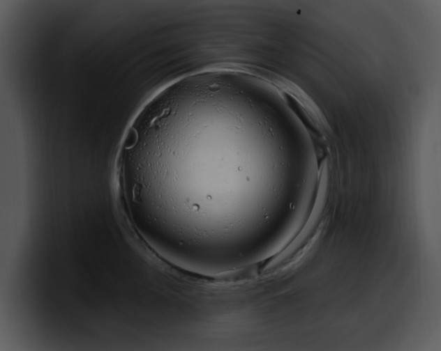 X0000100390908200806061251