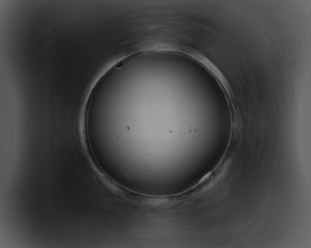 X0000100390909200806061251
