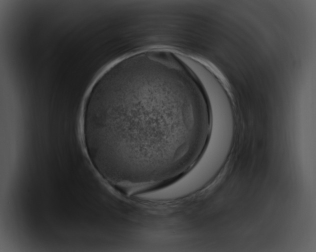 X0000100390910200806061251