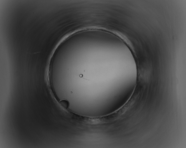 X0000100390911200806061251