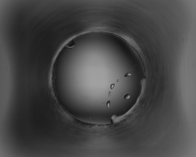 X0000100390912200806061251