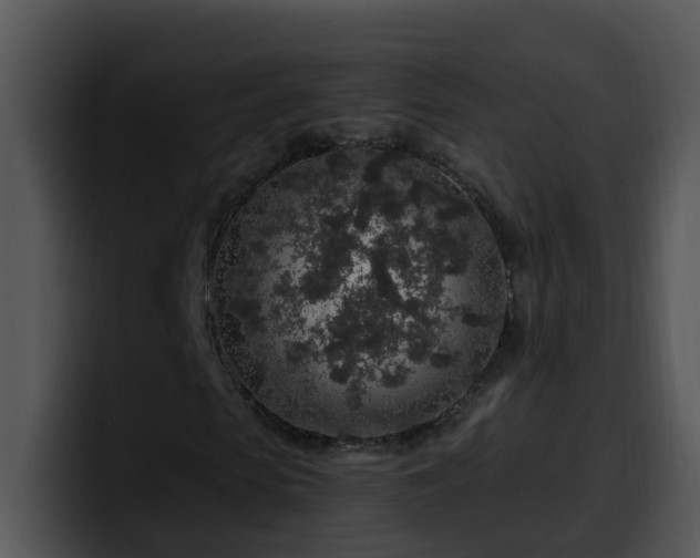 X0000100390913200806061251