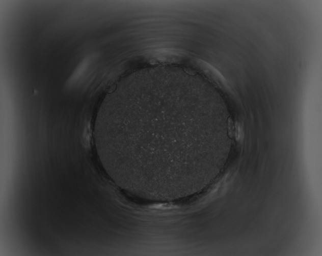 X0000100390915200806061251