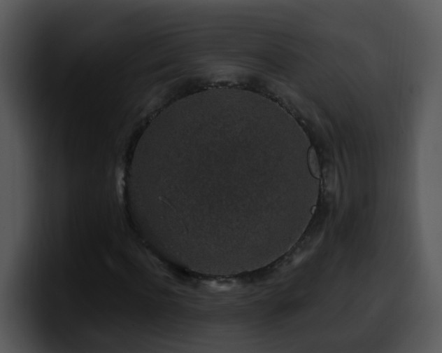 X0000100390916200806061251