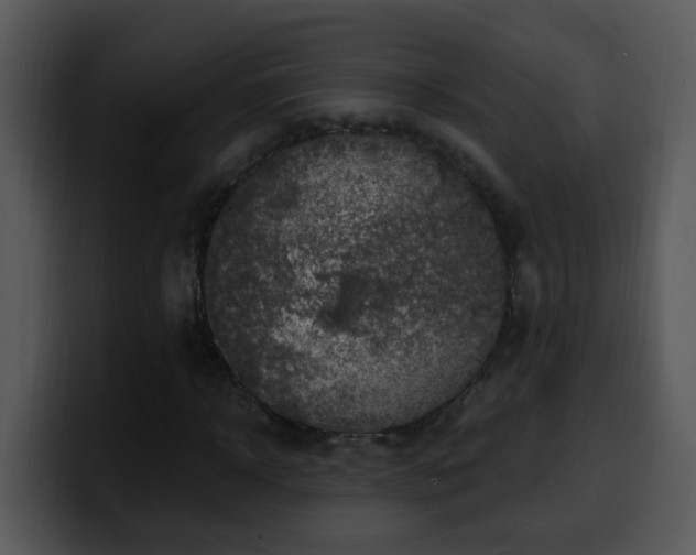 X0000100390918200806061251