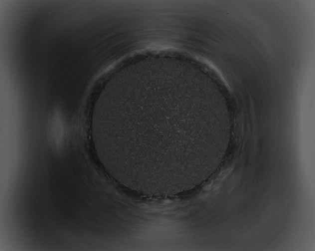 X0000100390919200806061251