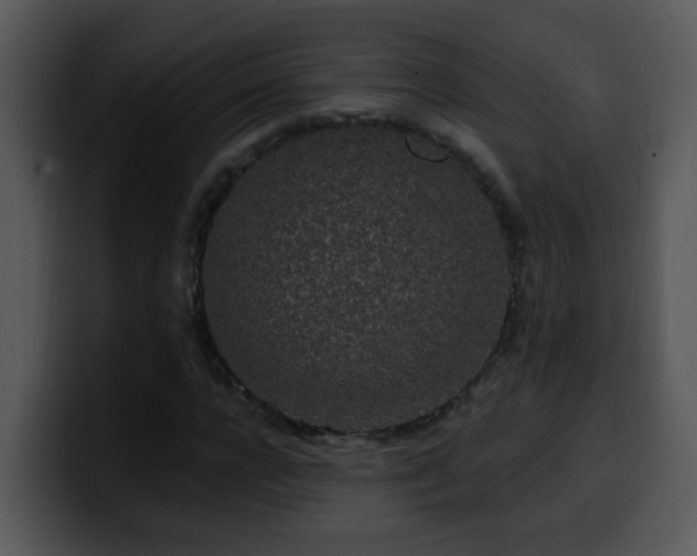 X0000100390920200806061251