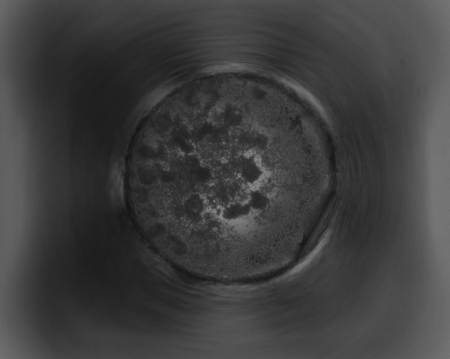 X0000100390921200806061251