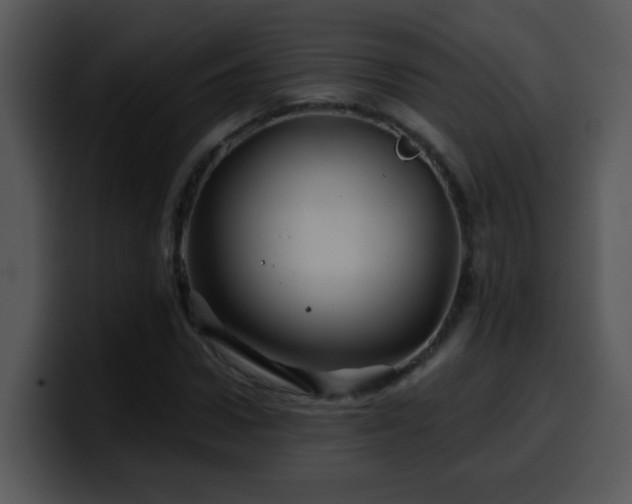 X0000100390922200806061251