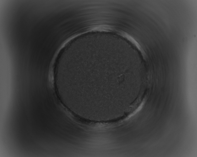 X0000100390923200806061251