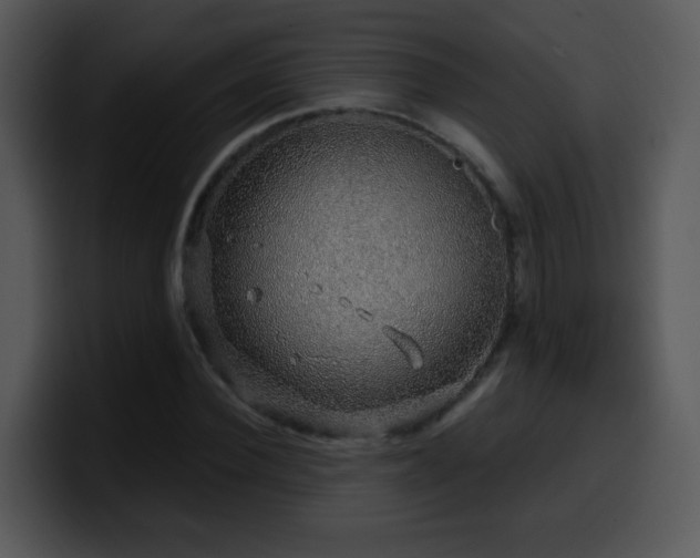 X0000100390924200806061251