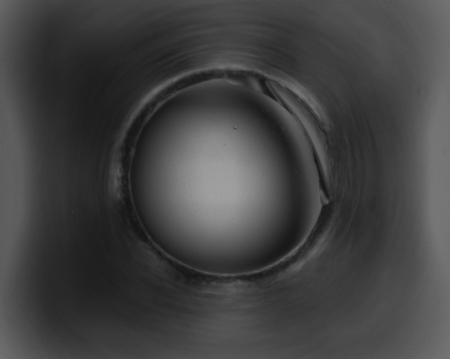X0000100390926200806061251