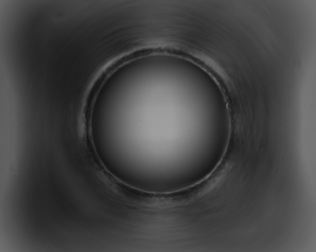 X0000100390927200806061251