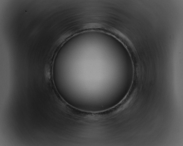 X0000100390929200806061251