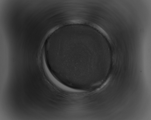 X0000100390930200806061251